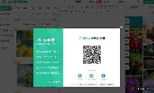 小墨鹰AI快排